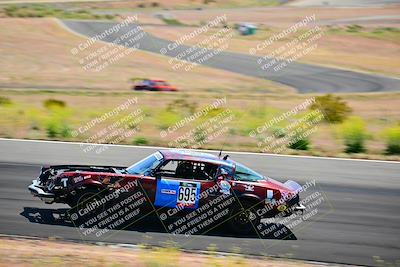 media/May-05-2024-Lucky Dog Racing (Sun) [[8a365fce5b]]/1030am-Turn 3/